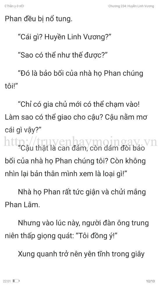 thần y ở rể