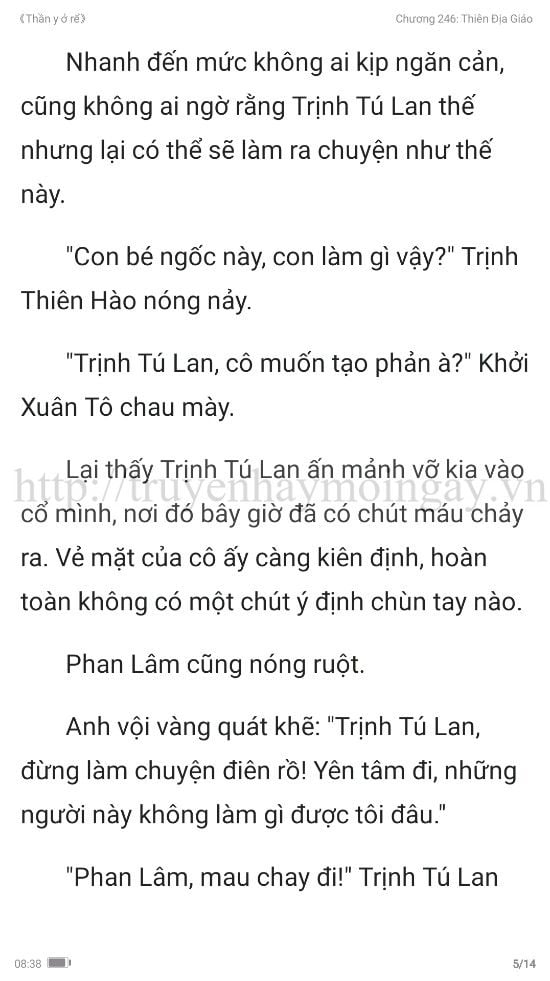 thần y ở rể