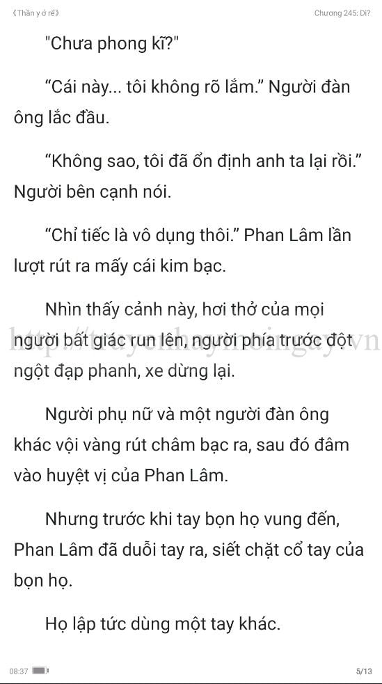 thần y ở rể