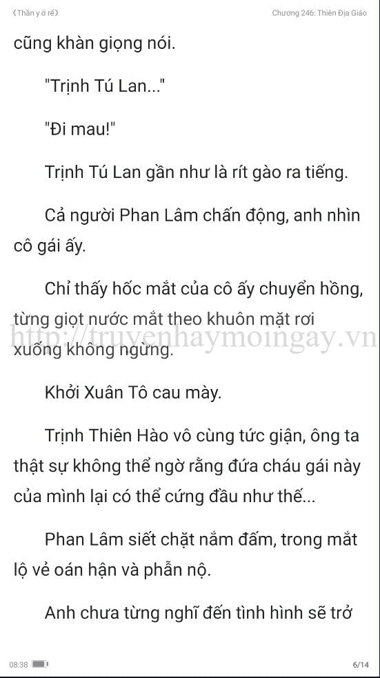 thần y ở rể