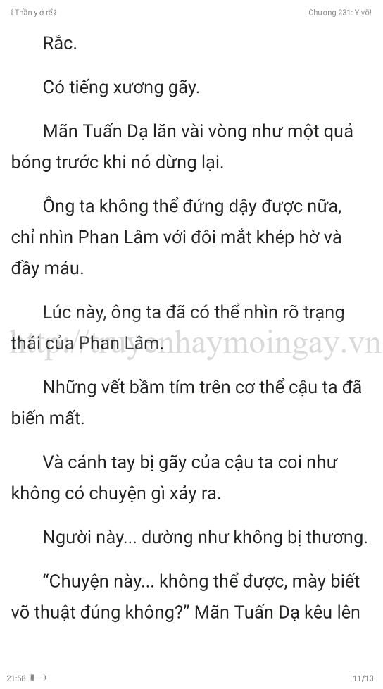 thần y ở rể