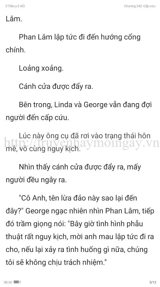 thần y ở rể