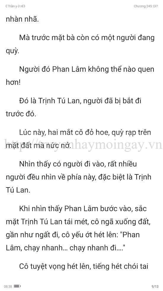 thần y ở rể