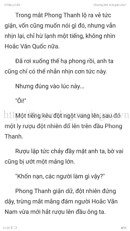 thần y ở rể