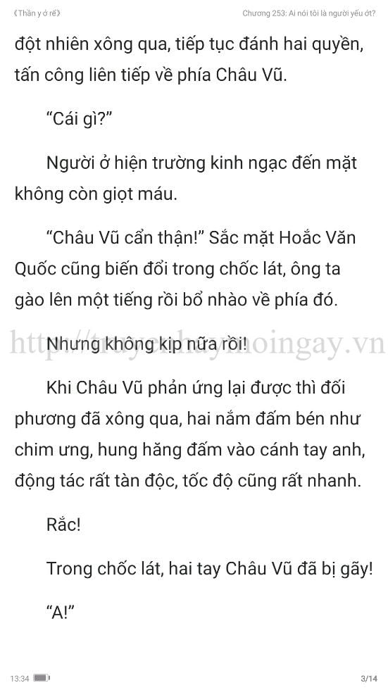 thần y ở rể