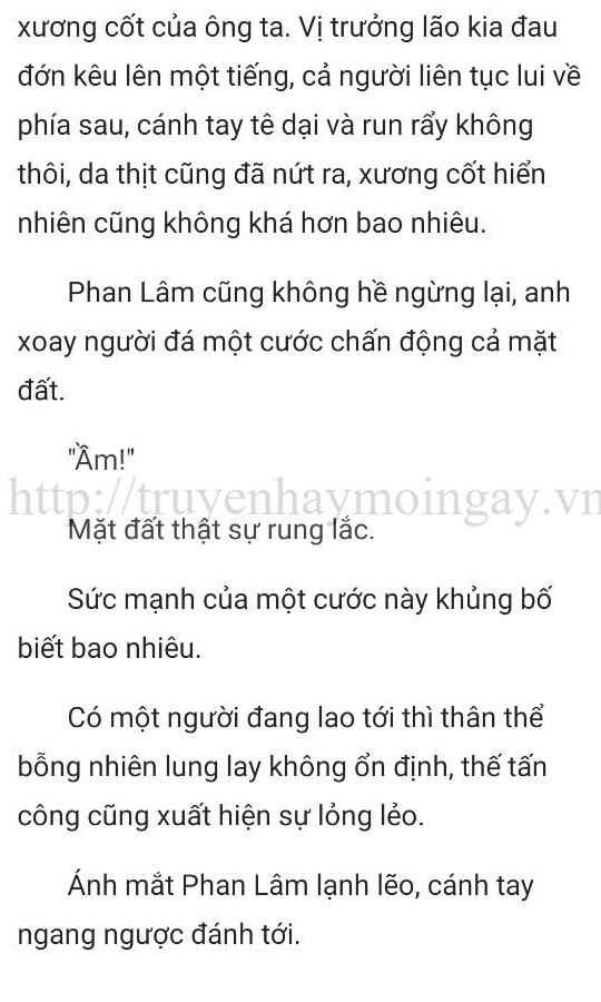 thần y ở rể