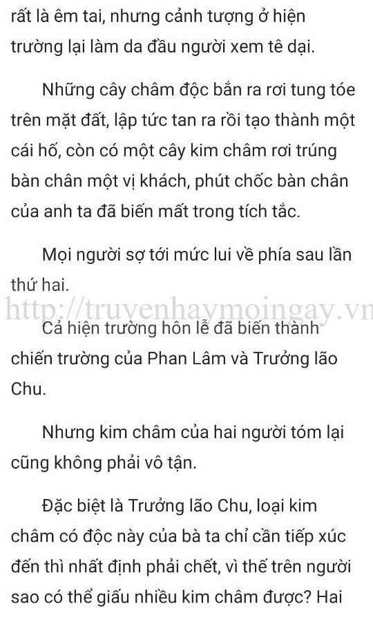 thần y ở rể