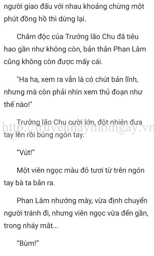 thần y ở rể