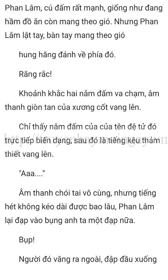 thần y ở rể