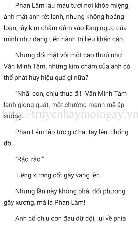 thần y ở rể