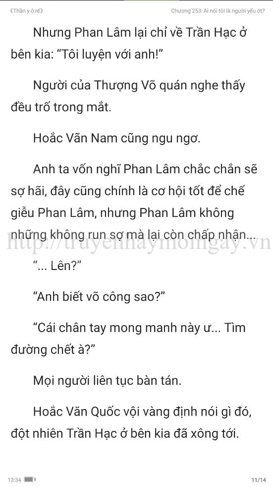 thần y ở rể