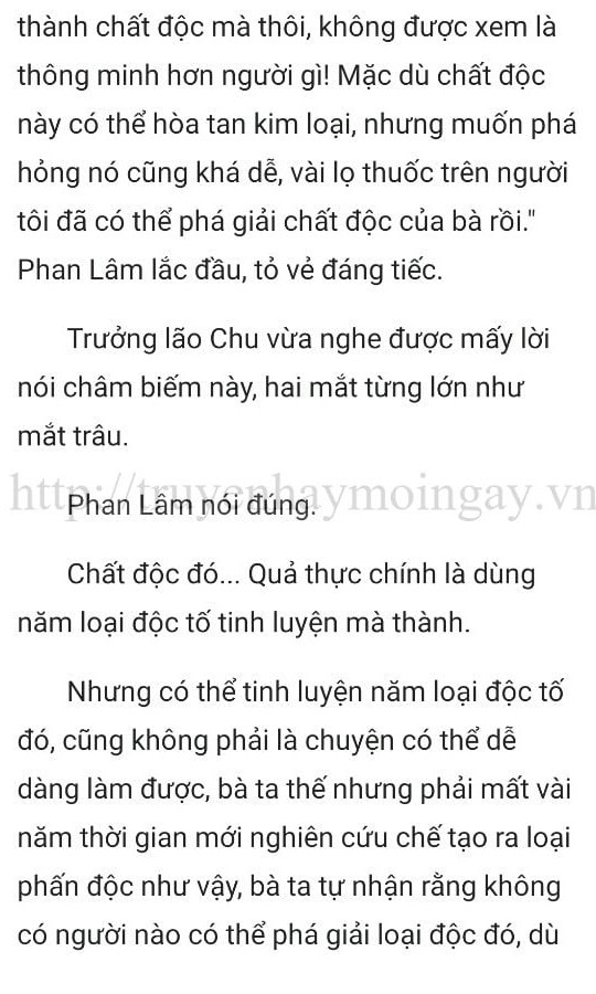 thần y ở rể