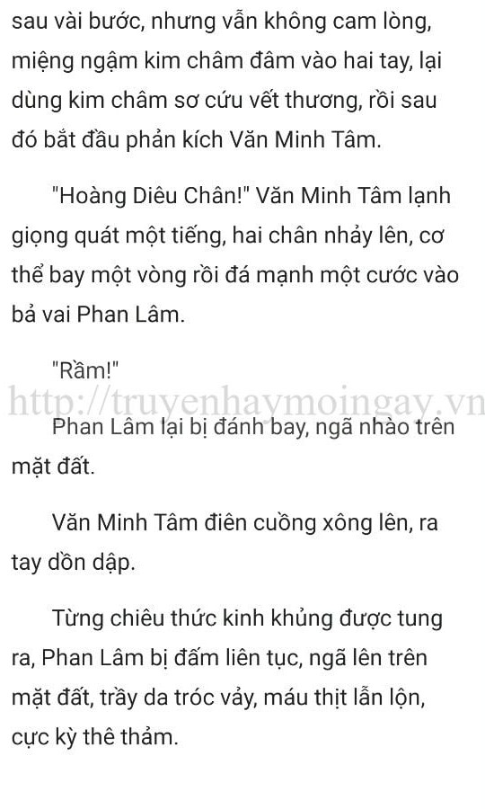 thần y ở rể