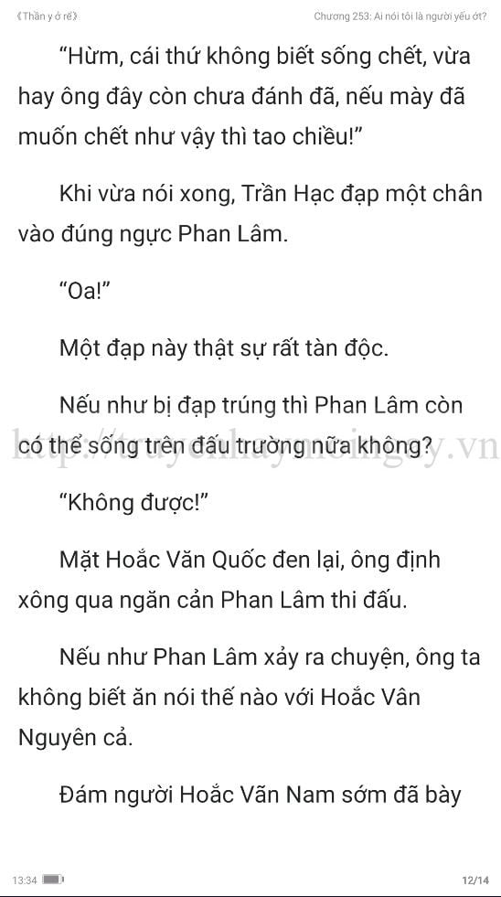 thần y ở rể