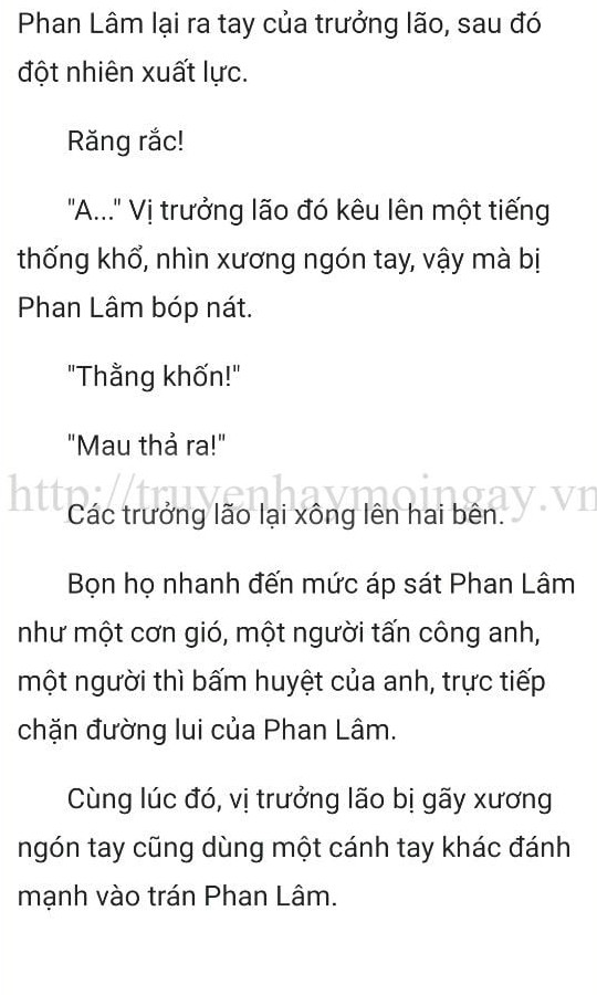 thần y ở rể