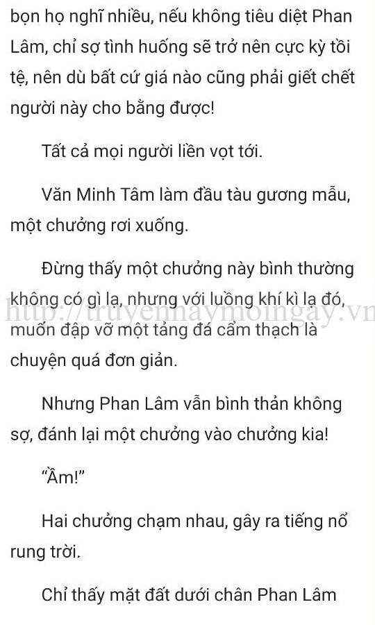 thần y ở rể