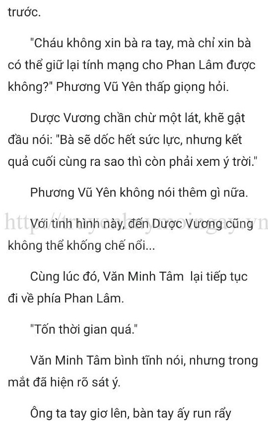 thần y ở rể