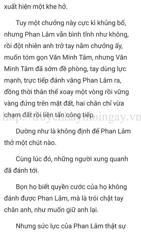 thần y ở rể