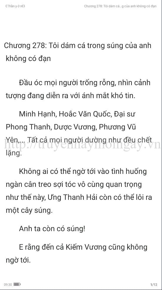 thần y ở rể