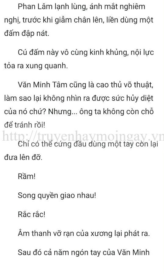 thần y ở rể