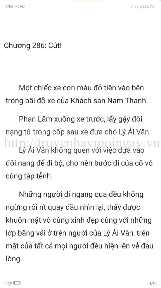 thần y ở rể