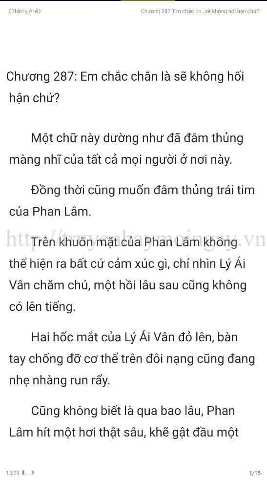 thần y ở rể