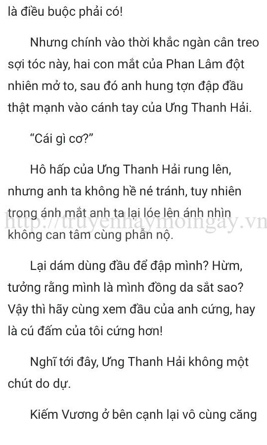 thần y ở rể