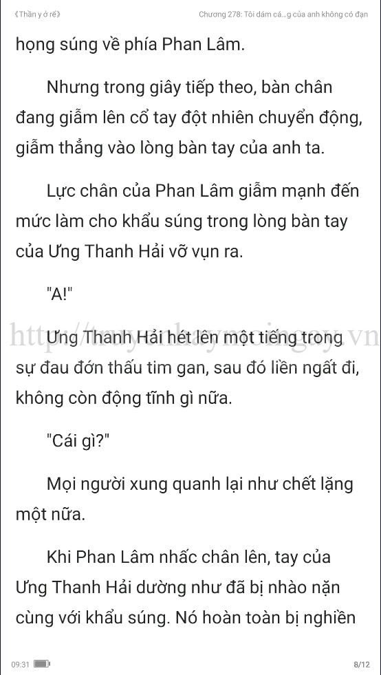 thần y ở rể