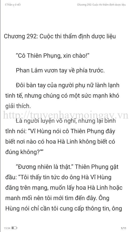 thần y ở rể