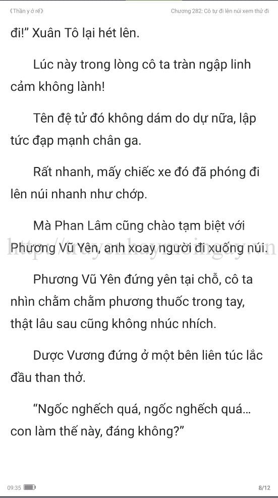 thần y ở rể