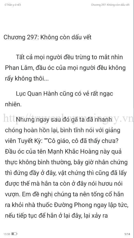 thần y ở rể