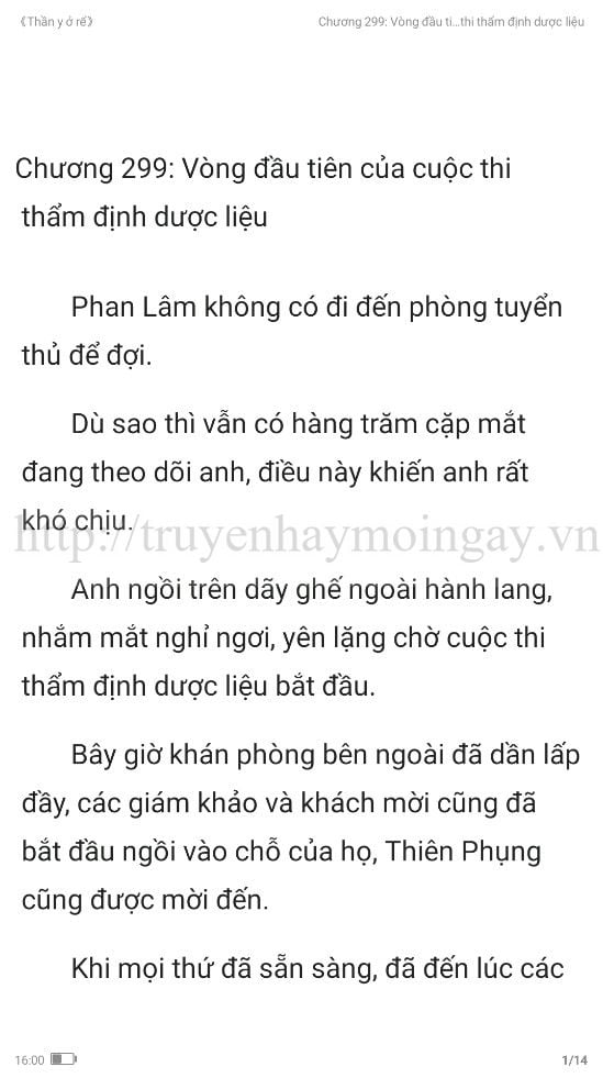 thần y ở rể