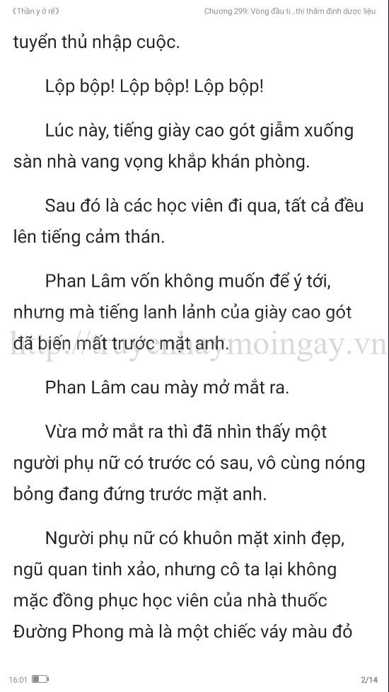 thần y ở rể