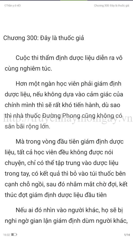 thần y ở rể