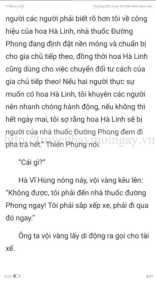 thần y ở rể