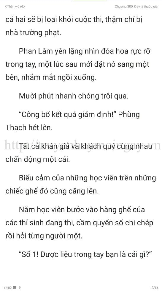 thần y ở rể