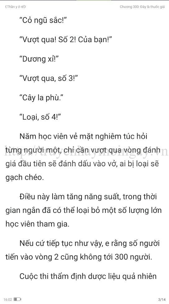 thần y ở rể