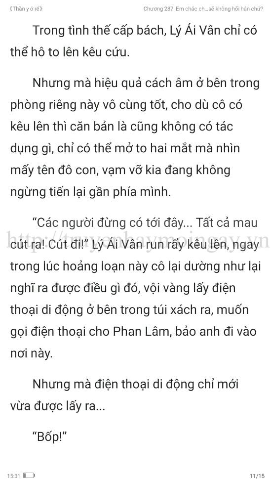 thần y ở rể