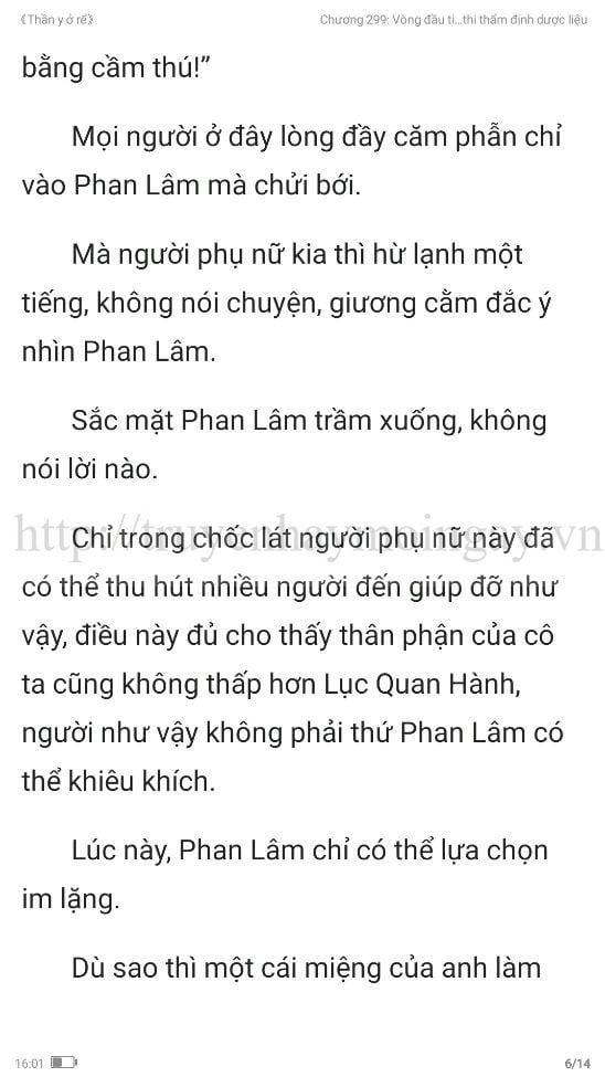 thần y ở rể