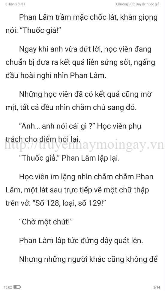 thần y ở rể