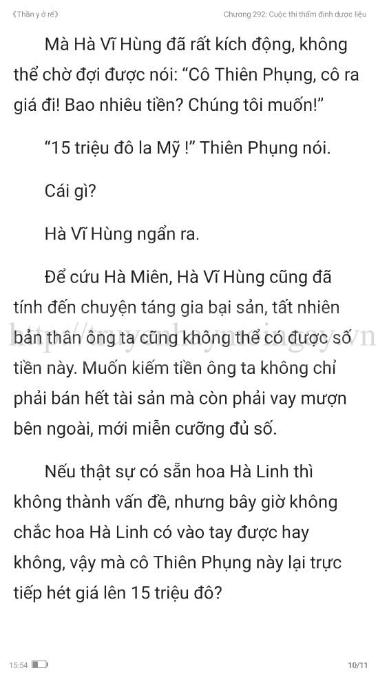 thần y ở rể