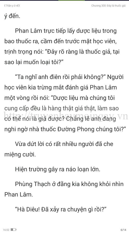 thần y ở rể