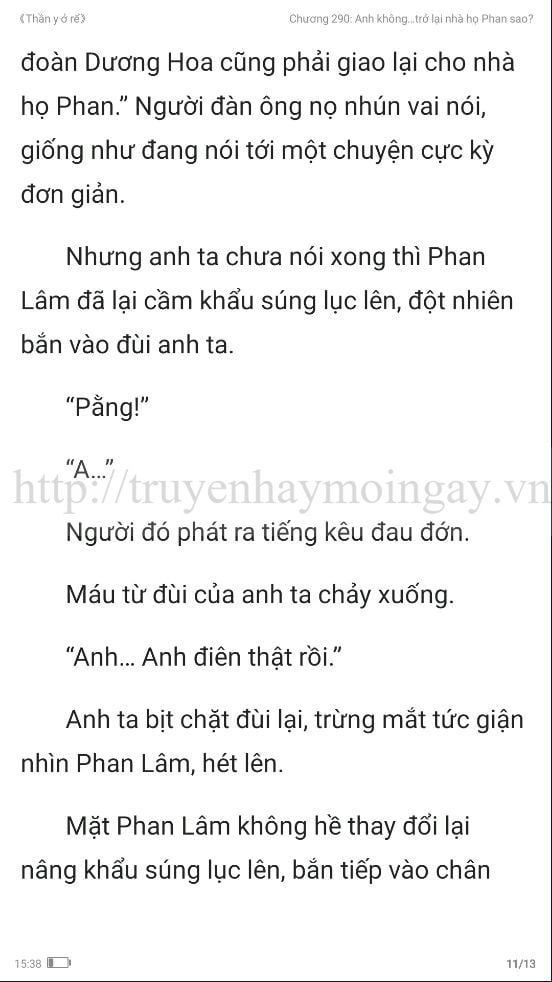 thần y ở rể