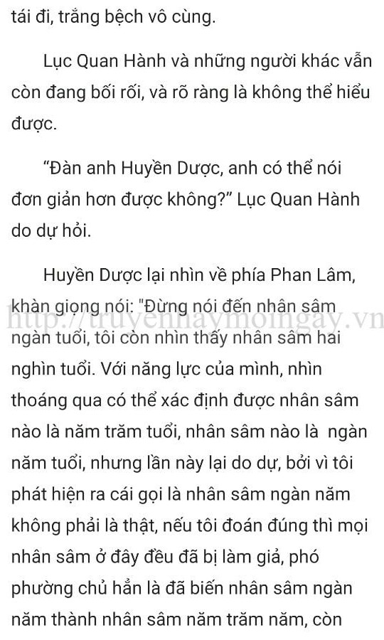 thần y ở rể