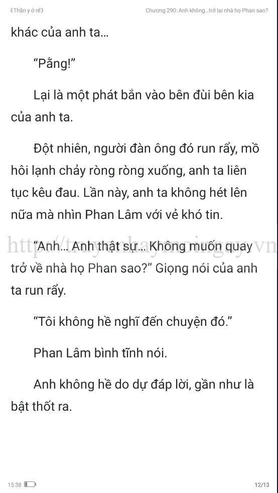 thần y ở rể