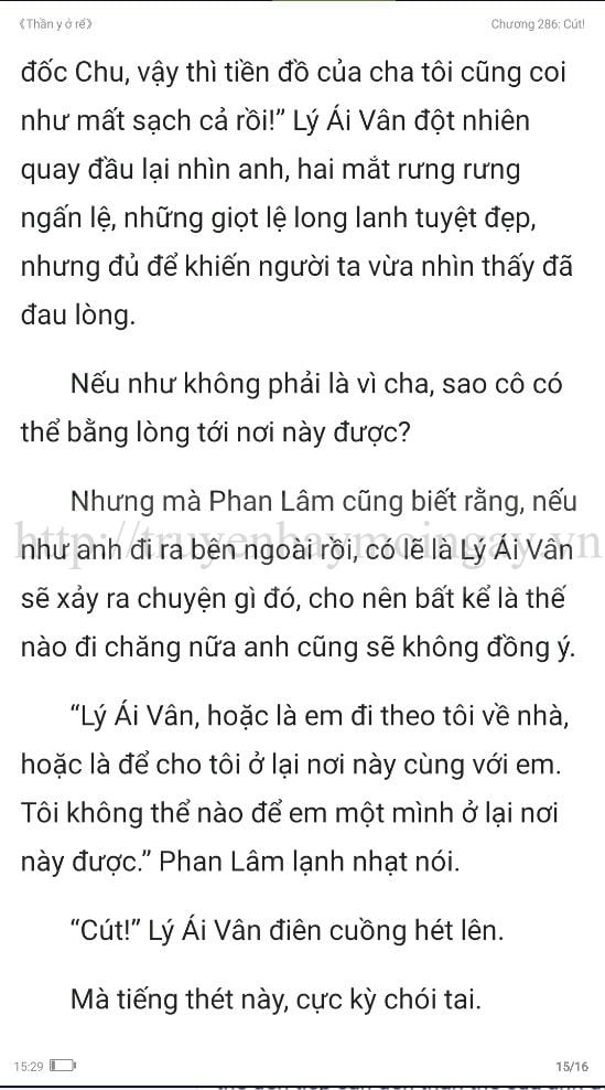 thần y ở rể