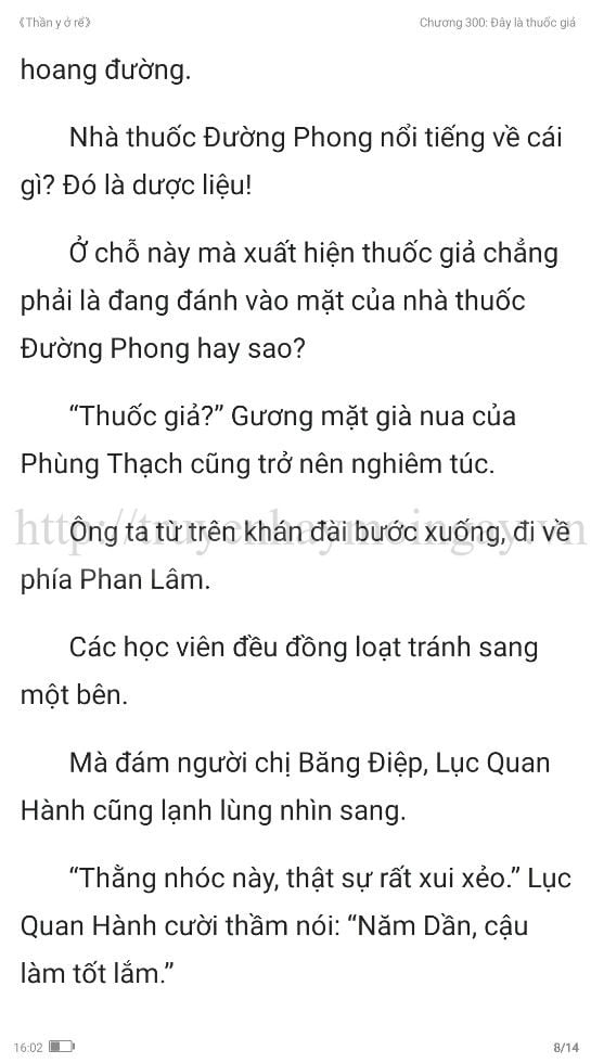 thần y ở rể