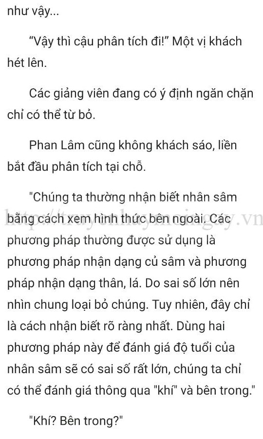 thần y ở rể