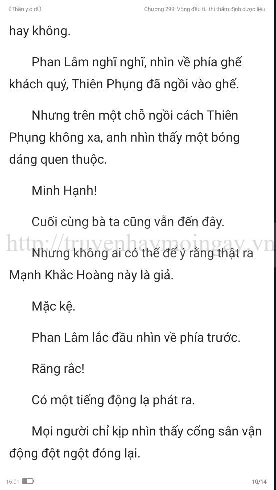 thần y ở rể