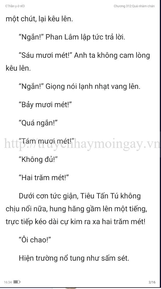 thần y ở rể